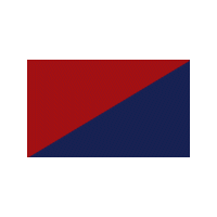 WW1 AIF CORPS / UNIT COLOUR PATCHES - PAIR