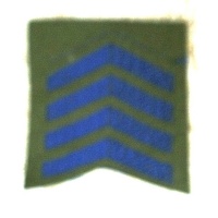 OVERSEAS SERVICE CHEVRONS