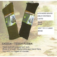 SOCKS - TERRA FIRMA CUSION SOLE -