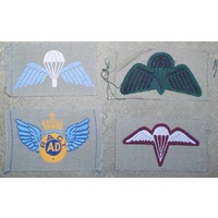 PARA WINGS & BREVETS
