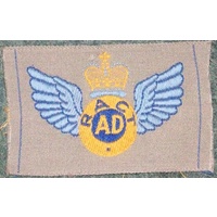 PARA WINGS & BREVETS - RACT AIR DISPATCHER OLD POLY ISSUE MINT