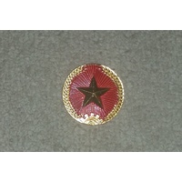 NORTH VIETNAMESE ARMY BADGE