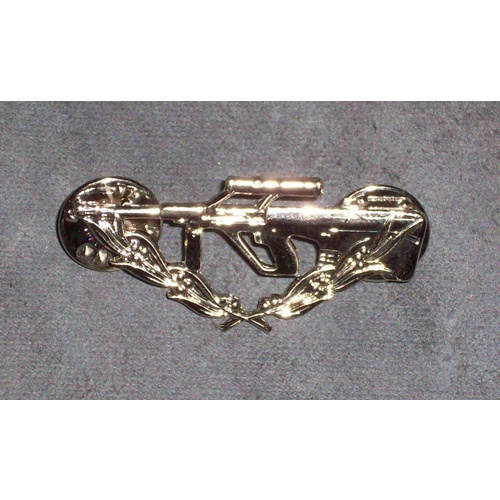 ARMY AIRN BADGE