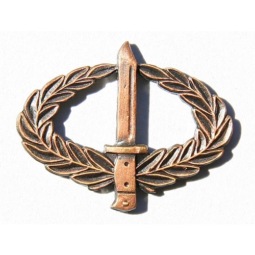 ARMY COMBAT QUAL BADGES