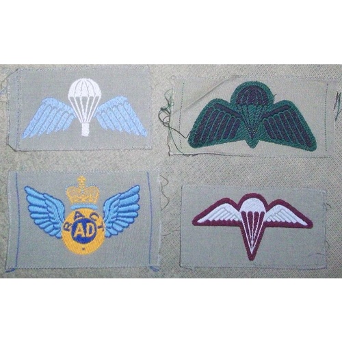 PARA WINGS & BREVETS