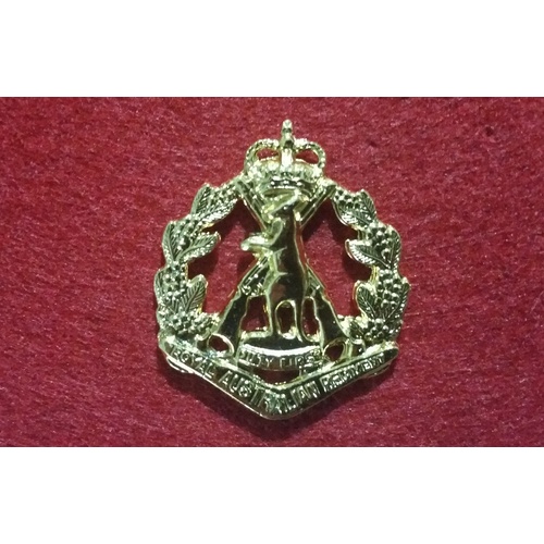 ARMY REGT BADGES
