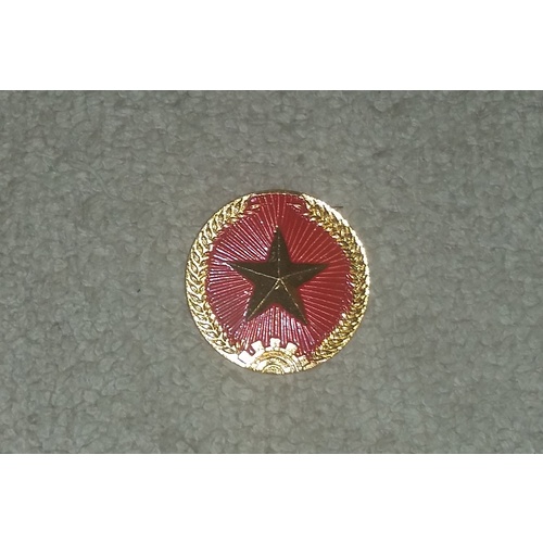 NORTH VIETNAMESE ARMY BADGE