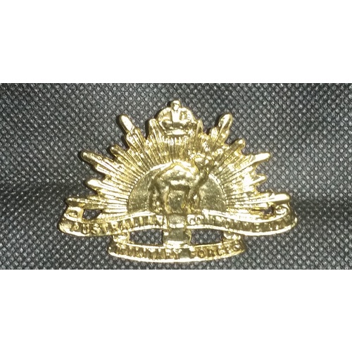 CAMEL CORPS RISING SUN BADGES